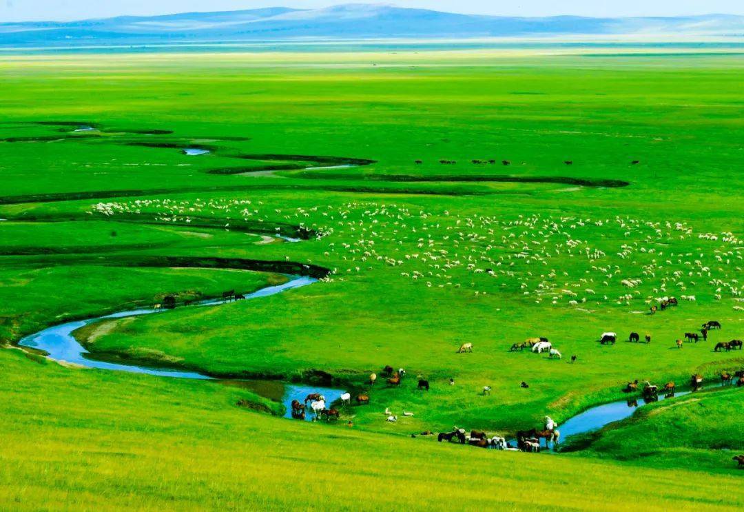 美丽中国 • 内蒙古自治区篇丨环保清风吹绿草原-图片8